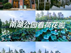 -成都南湖公园