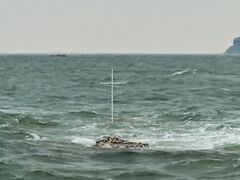 -海岛日记(养马岛店)