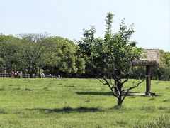 -良渚古城遗址公园