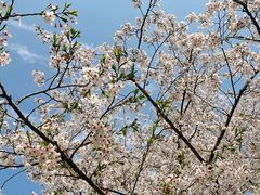 -西北湖绿化广场