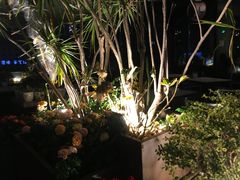 -听香·678茶铺(猛追湾店)