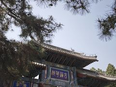 -莲池书院博物馆