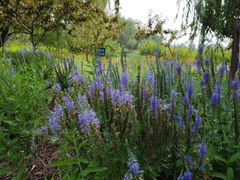 -永定河休闲森林公园