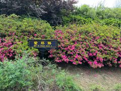 -宜兴龙背山森林公园