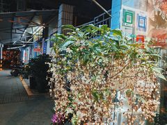 -溪岸路花鸟市场