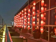 -梧桐餐厅(泉城路店)