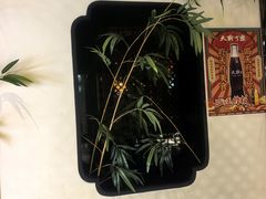 -天府豆花庄(金四季店)