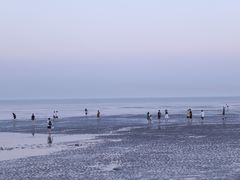 -南汇嘴观海公园