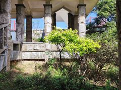 -东莞市大岭山森林公园