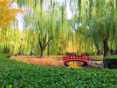 -玲珑塔公园