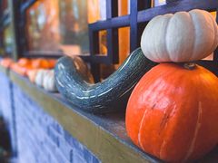 -三忘湖 SWANSEEN(柳荫公园店)