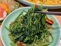 -mango tree芒果树餐厅(广州K11购物艺术中心店)