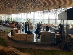 -Seesaw Coffee(朝阳大悦城店)