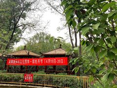 -太阳宫公园