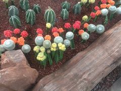 -南通洲际绿博园