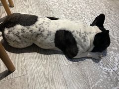 -小时光咖啡馆(北锣鼓巷店)
