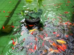 -陕西自然博物馆