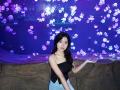 -石家庄极地海洋世界