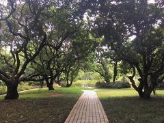 -荔香公园