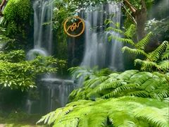 -Chom Cafe and Restaurant