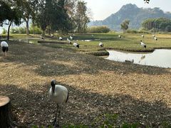 -星湖旅游景区七星岩