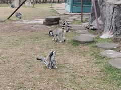 -杭州野生动物世界