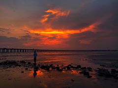 -宝安西湾红树林湿地公园