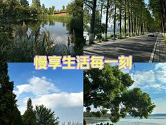 -东湖生态旅游风景区