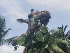-海南热带野生动植物园