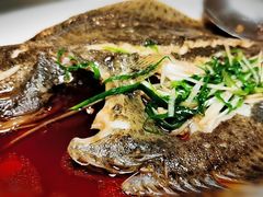 清蒸多宝鱼-顺风山庄(水濂山店)