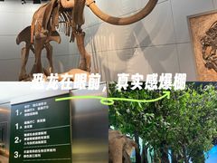 -西湖文化广场