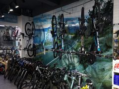 -GIANT捷安特自行车专卖店(金桥台儿庄路店)