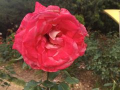 景点-人民公园(罗湖区)