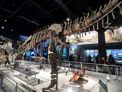 -国家自然博物馆