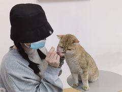 -Heymao猫咖.咖啡厅(东门店)