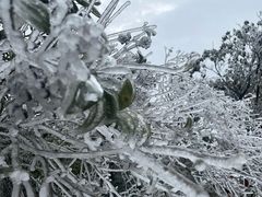 -梧桐山风景名胜区