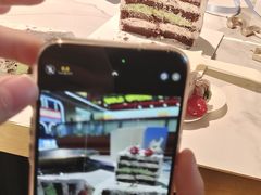 -山与蓝·轻糖鲜果蛋糕(勒泰店)