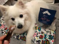 -百好乐宠物友好餐厅(朝外大街店)