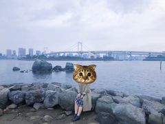 -台场海滨公园船码头