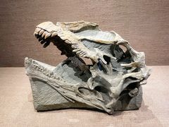 -自贡恐龙博物馆