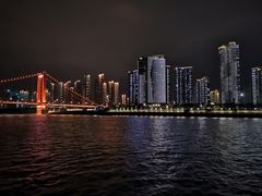 -武汉两江游览·夜游长江(汉口粤汉码头)