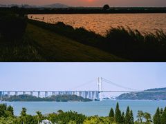 -大湾区中央湿地公园