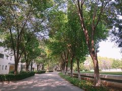 -北京国家会计学院