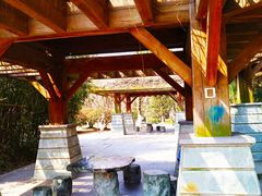 -白塘生态植物园