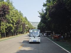 -滕州微山湖红荷湿地景区