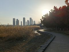 -前关湿地公园