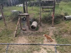 -济南野生动物世界
