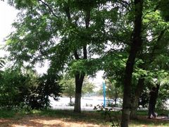 -长白岛森林公园