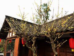 -秀丽东方