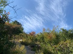 -鬼笑石后山停车场